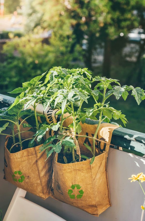 Come possono le piccole imprese di abbigliamento implementare l'upcycling per ridurre gli sprechi?