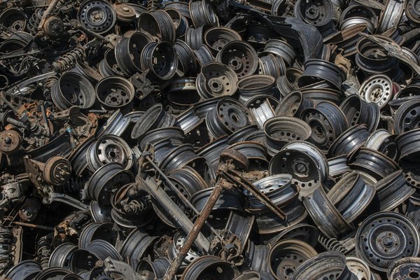 In che modo il riconoscimento automatico delle immagini aiuta nella conservazione delle specie animali a rischio?